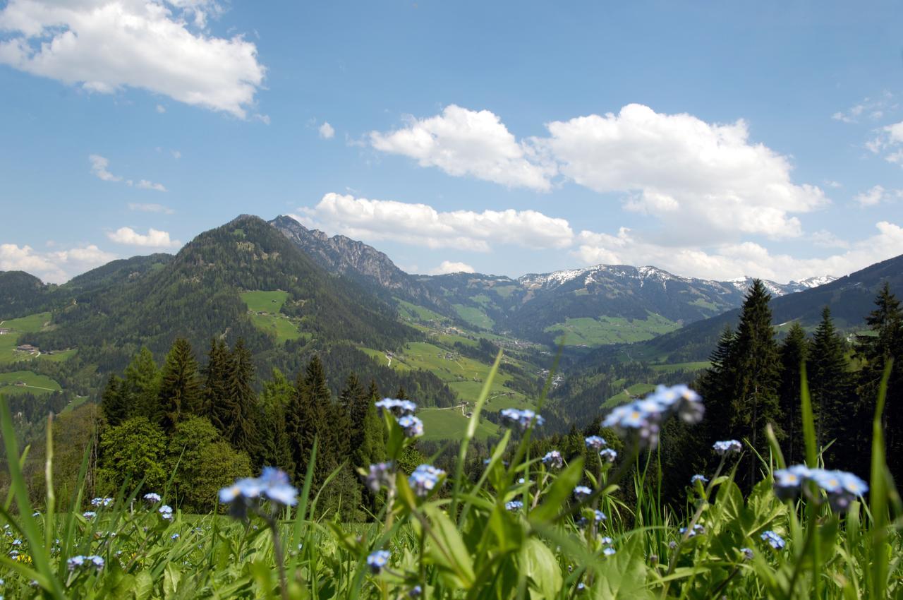 Bergchalet Rauchenhof Reith im Alpbachtal Luaran gambar